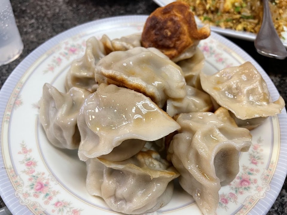 Pan Fried Pork Dumplings